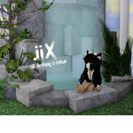 .iix