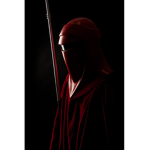 T.O.S.O -Dark Honor Guard-