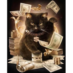 Cats......