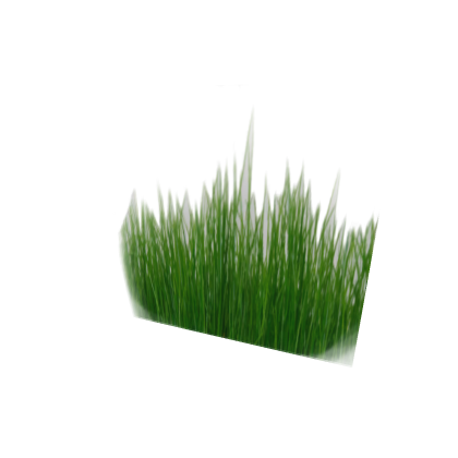Jailbreak Grass