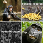 MonkeTakeover