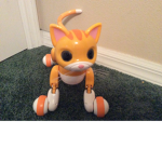 Cats studios