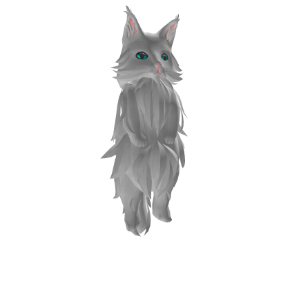 Holding White Big Cat Pet