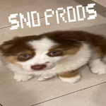 Sno Productions