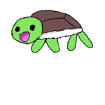 cool turtle club