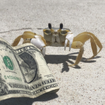 Cash Crabs