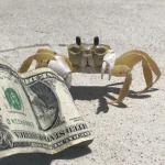 Cash Crabs Group Thumbnail