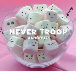 Never Troop Hangout (OFFICIAL)