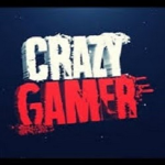 TheCrazyGammer Group