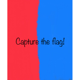 Capture the flag!