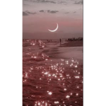 -aesthetic blueberry people -
