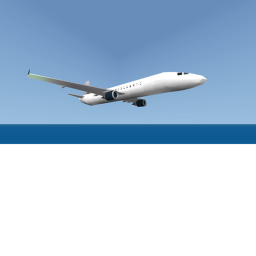 Fly in a plane with Freinds or Yourself
