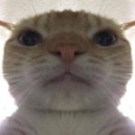 (q)