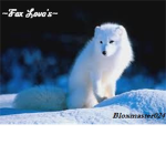 ~Fox lova's ~