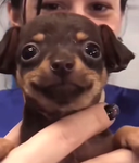얼얼