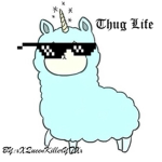 Da savage llama's :3