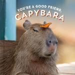 The capybara team