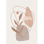 - peony -