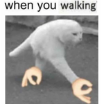 Memes_central