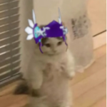 TeddyMayDesigns.