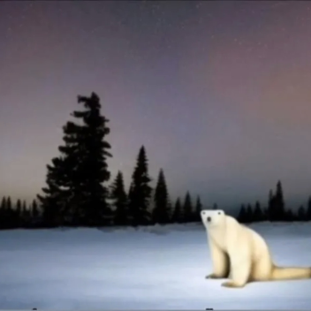 Polar Bear 2026 Obby
