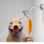Hi there! :D