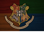 Hogwarts school of witch craft and wizardry!