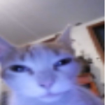 Sussy among us and be sussy Baka