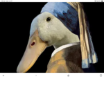 The Weird And Funny Ducks