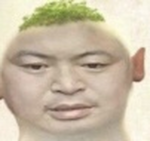 皇家ZELDA家族