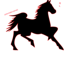 Royal’s Limits Riding