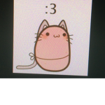 ❤️The Litty Kawaii Internet Cat Potato❤️