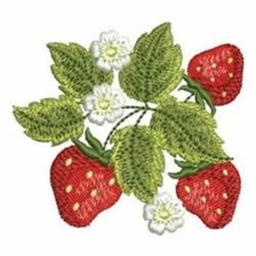 ⋆ ˚｡⋆୨🍓୧⋆ ˚｡⋆