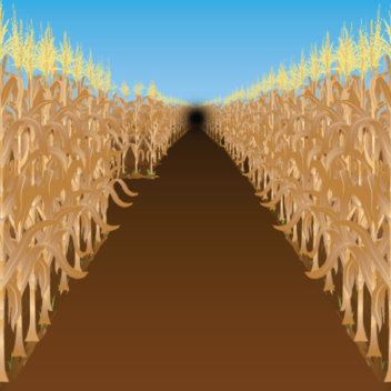 Corn Maze