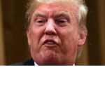 Trump's Plan