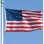 The United States branch forces