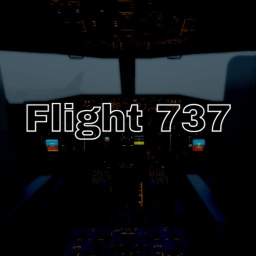 Flight 737