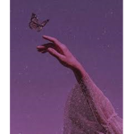 Fluttering Butterfly's clothing