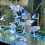roSirens