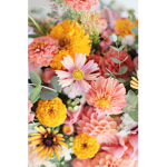Season flowers