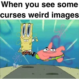 sponge chaos