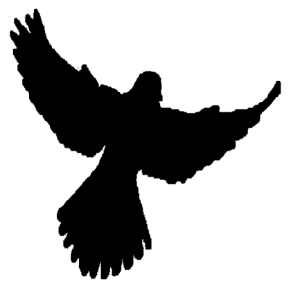 Kestrel's Logo V2 Roblox decal