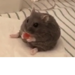 Rattattatatatta