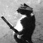 catto gengo