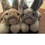 Cottontail and flufftail