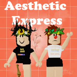 Aesthetic Express Home.store