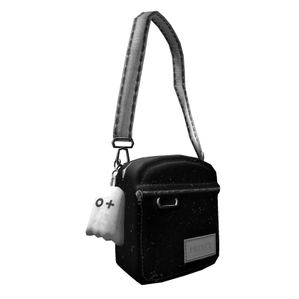 ✅ Silver Bag thumbnail