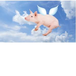 Piggie lol