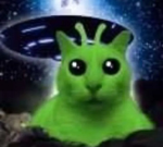 Smitekk's Extraterrestrial Tienda