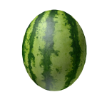Watermelon Head